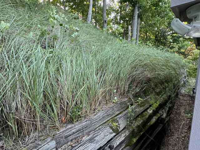 Rotting timber retaining wall before replacement